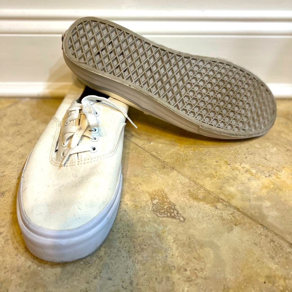 Mens Authentic Vans